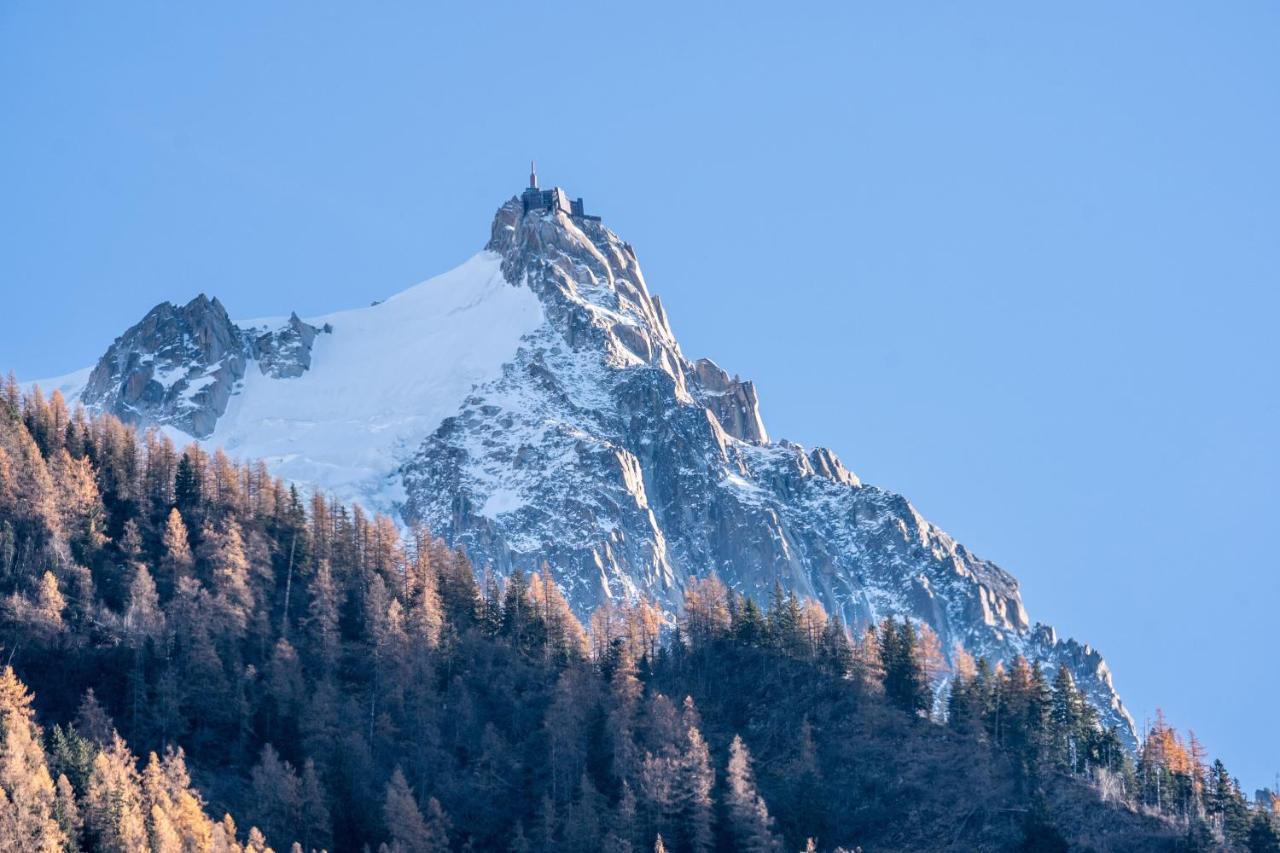 Chamonix Sud Studio With Mont Blanc Views Εξωτερικό φωτογραφία