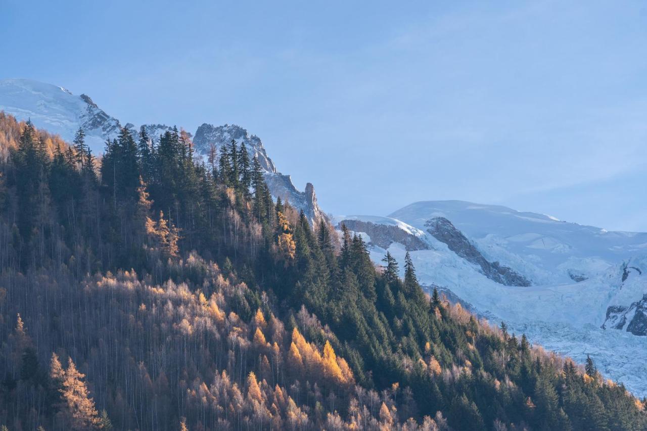 Chamonix Sud Studio With Mont Blanc Views Εξωτερικό φωτογραφία